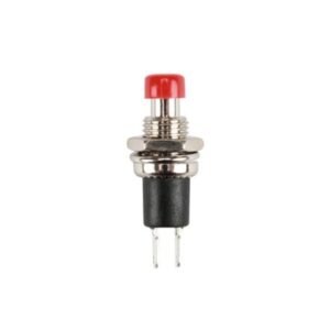 BOUTON-POUSSOIR MOMENTANE MINIATURE DE COULEUR R1829